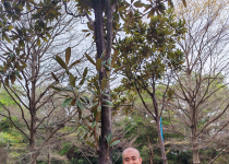 第四党支部  2024年优秀党员  陈冬阳